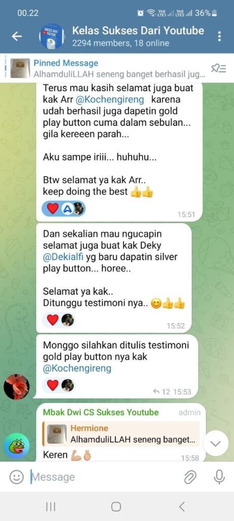 sukses dari youtube gold play button mbak vita 3
